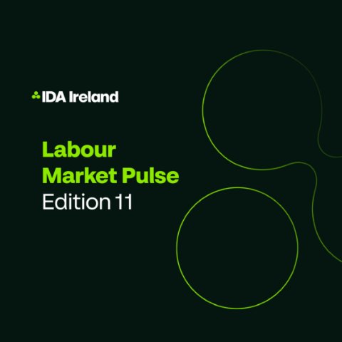 IDA Labour Market Pulse Reveals Demand For Green Skills In Ireland Growing Twice The Rate Of Global