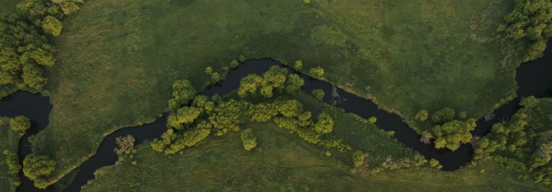 Information Compliance