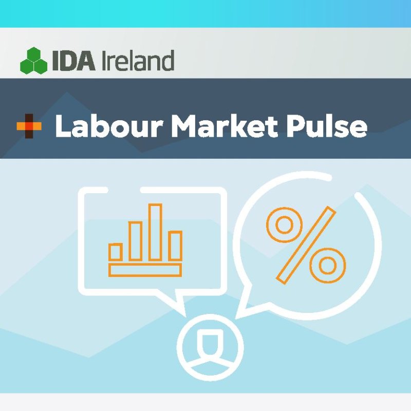 Labour Market Pulse Edition 6