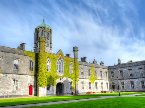 Galway students lead groundbreaking dementia and diabetes study