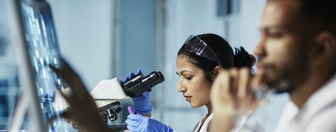 8 diverse sites across Ireland employing 2,500+ people