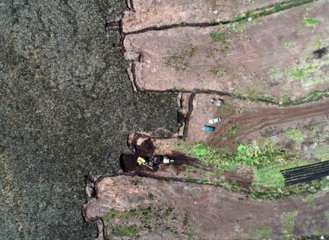 Researchers propose using AI to protect Ireland’s peatlands